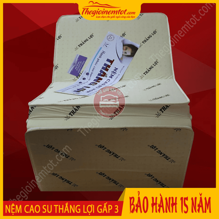 No. 5 - Nệm Gấp 3 Đàn Hồi Tốt Thắng Lợi - 5