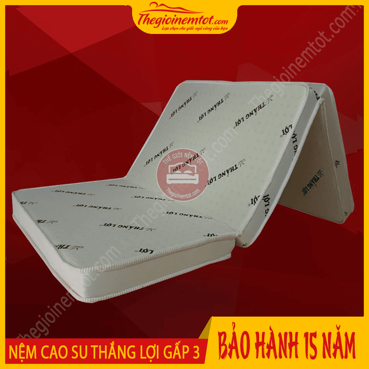 No. 5 - Nệm Gấp 3 Đàn Hồi Tốt Thắng Lợi - 2