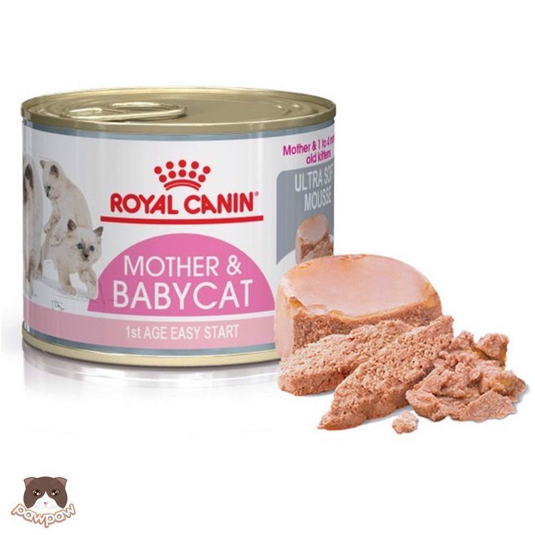 No. 4 - Pate Royal Canin Mother & Babycat - 6