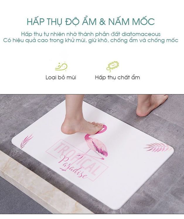 No. 7 - Thảm Đất Tảo Cát Hút NướcFSLQJ-0051 - 4