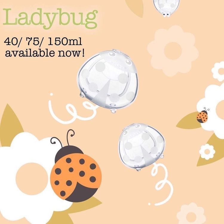 No. 6 - Miếng Lót Hứng Sữa Ladybug - 2