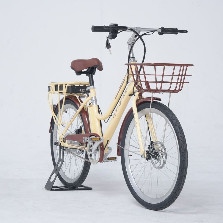 No. 4 - Xe Đạp Điện Trợ Lực WiiBike SummerSummer - 2