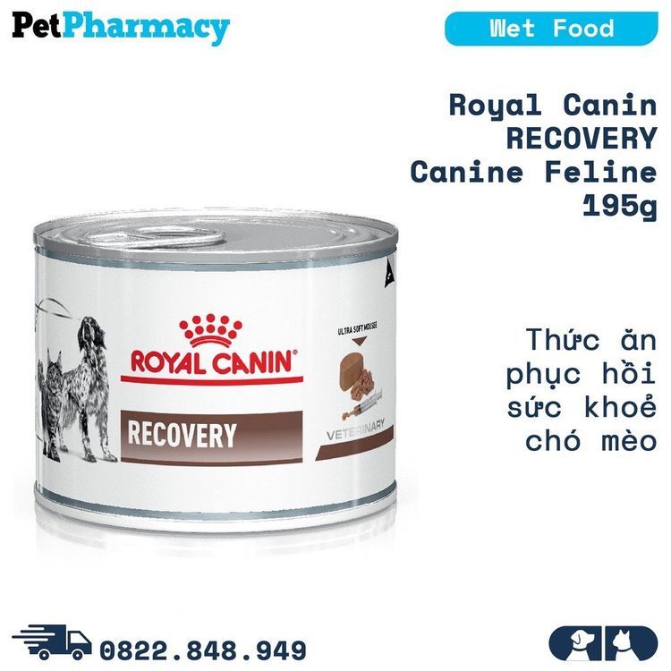 No. 3 - Pate Royal Canin Recovery - 6